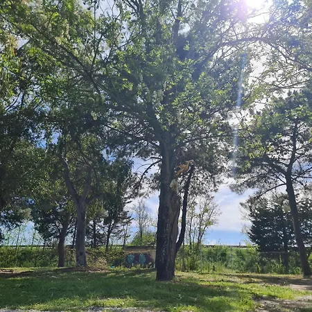 Casa Del Mare - Riviera Dei Tramonti - 150 Mt Dalla Casa de Férias Fronte Aguglieri