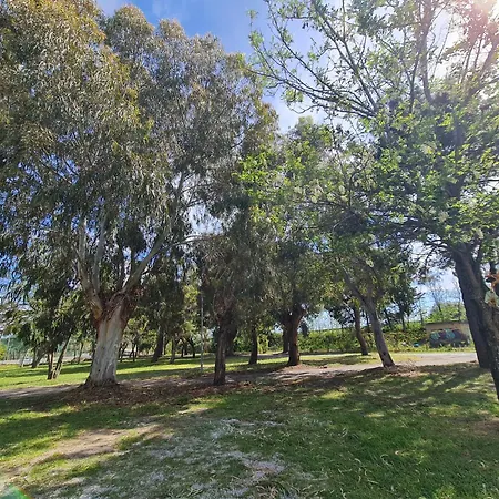 Casa Del Mare - Riviera Dei Tramonti - 150 Mt Dalla