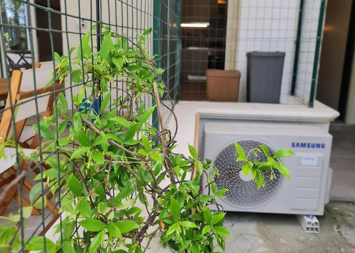 Casa de Férias Casa Del Mare - Riviera Dei Tramonti - 150 Mt Dalla *